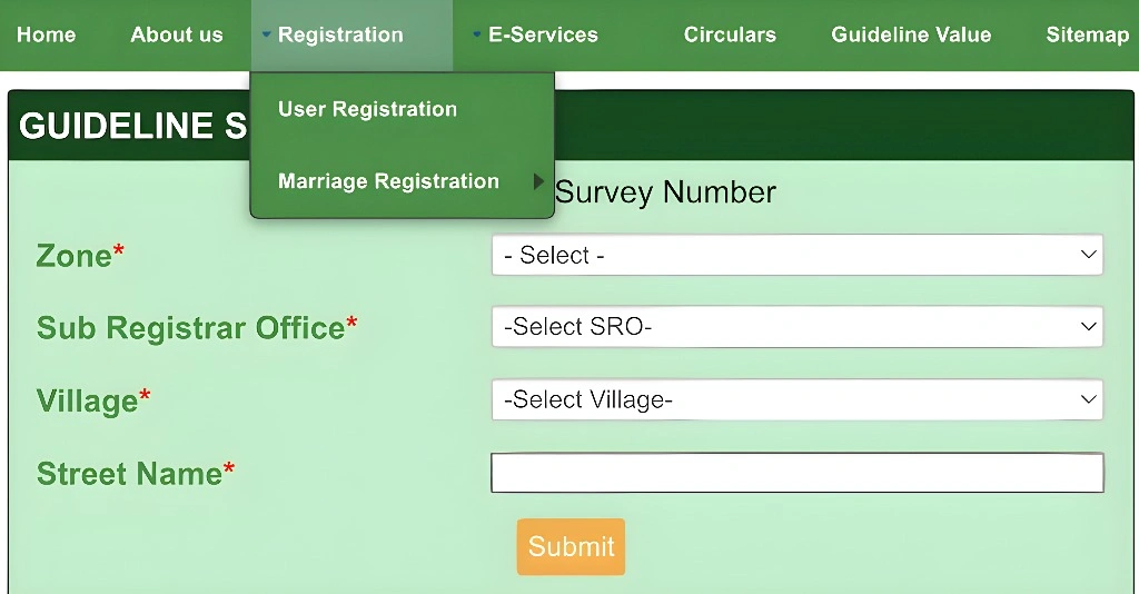 Why Does TNREGINET Search Not Work for Village Names?