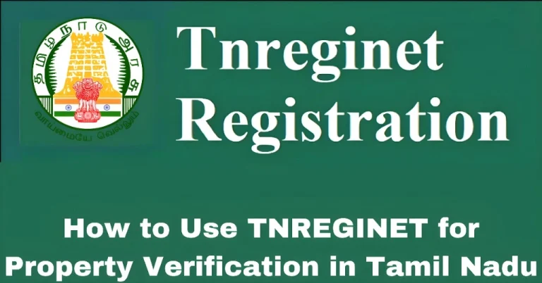 How to Use TNREGINET for Property Verification in Tamil Nadu