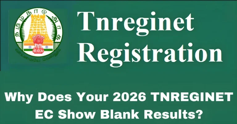Why Does Your 2026 TNREGINET EC Show Blank Results?