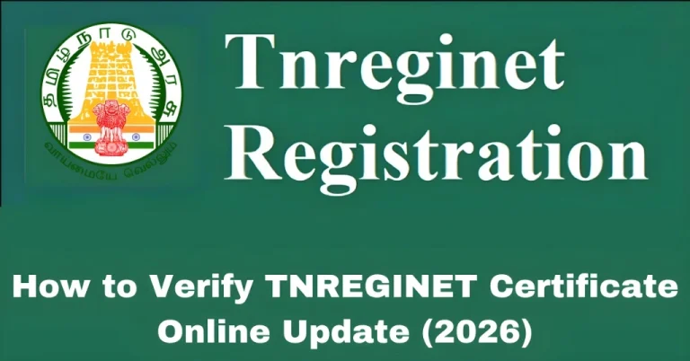 How to Verify TNREGINET Certificate Online Update (2026)