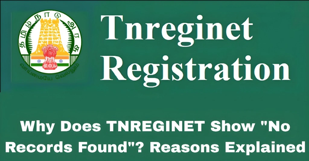 Why Does TNREGINET Show "No Records Found"? Reasons Explained