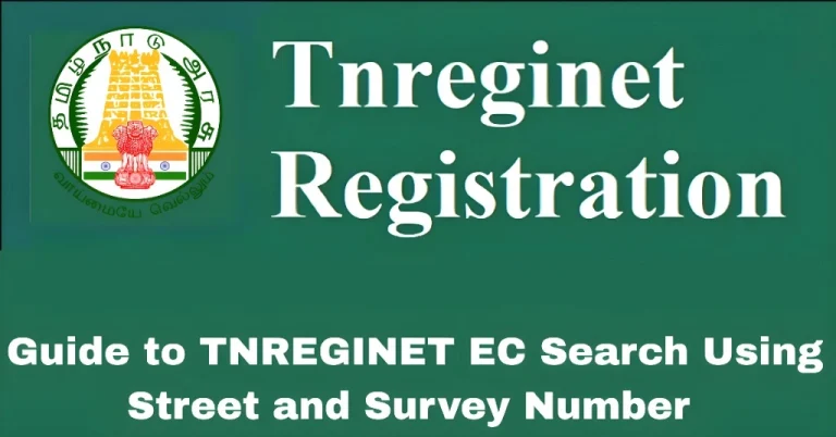 Guide to TNREGINET EC Search Using Street and Survey Number