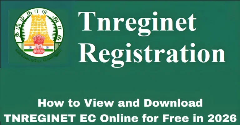How to View and Download TNREGINET EC Online for Free in 2026