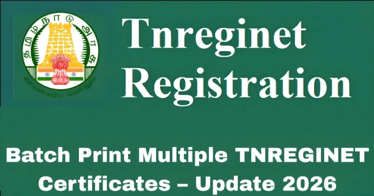 Batch Print Multiple TNREGINET Certificates – Update 2026